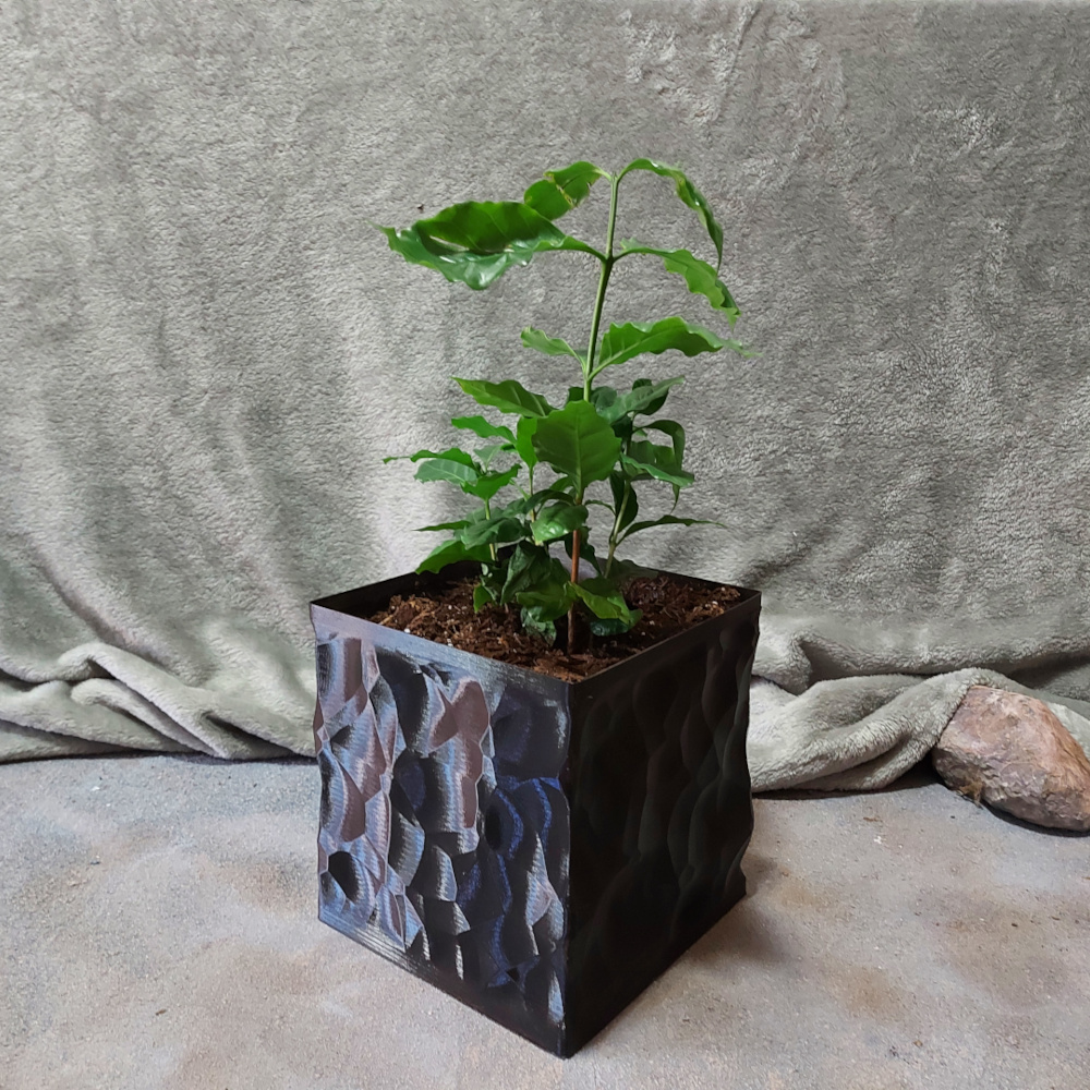 Square Vase Planter - Obsidian Style