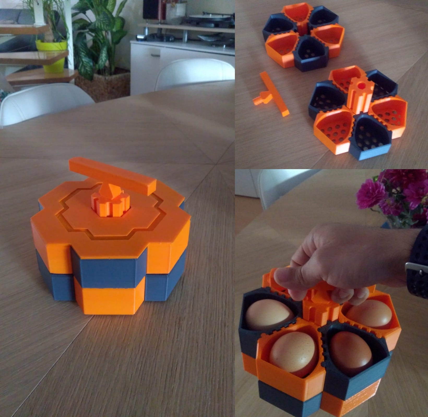 Modular Egg box