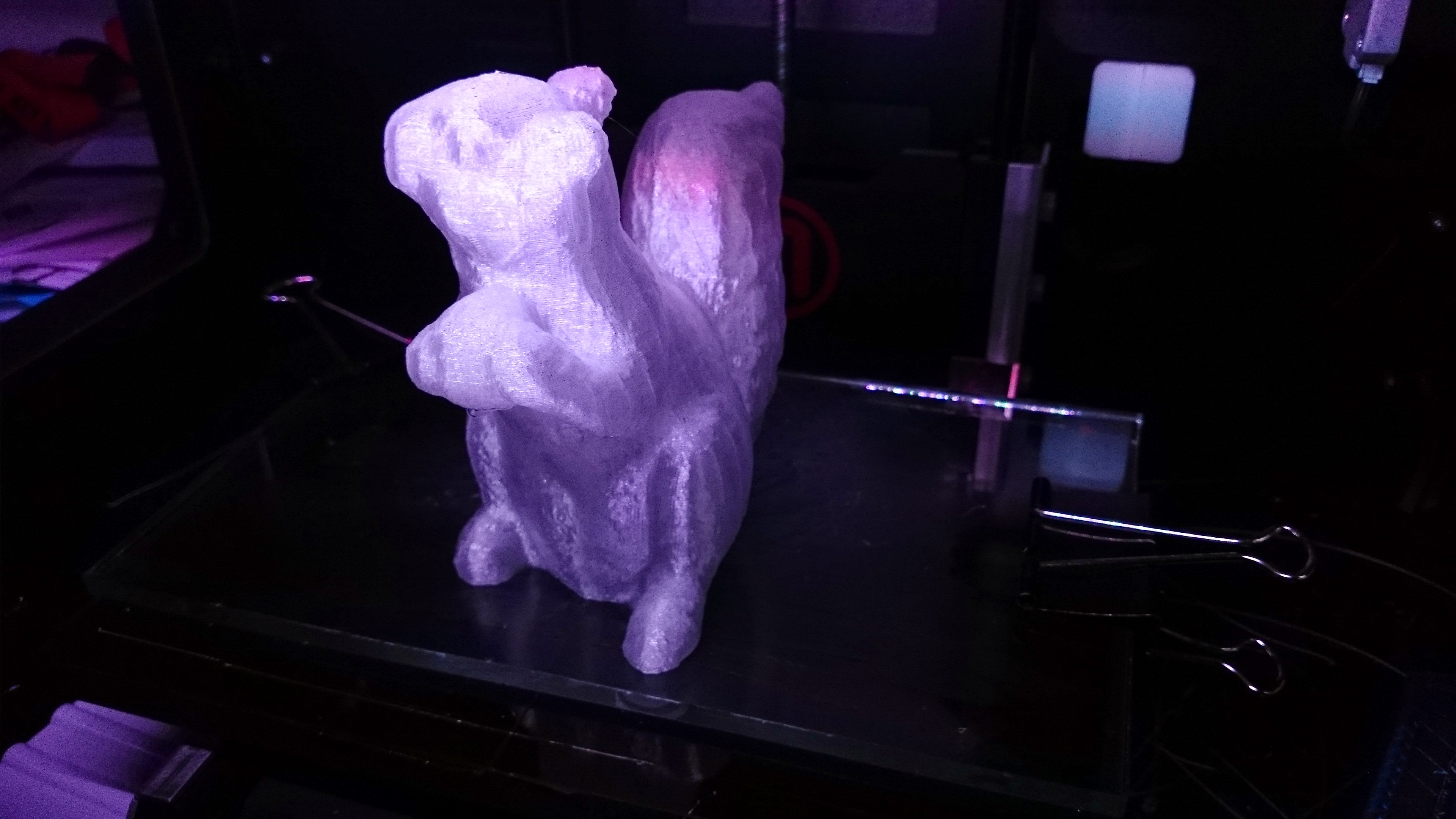 Squirrel Scan