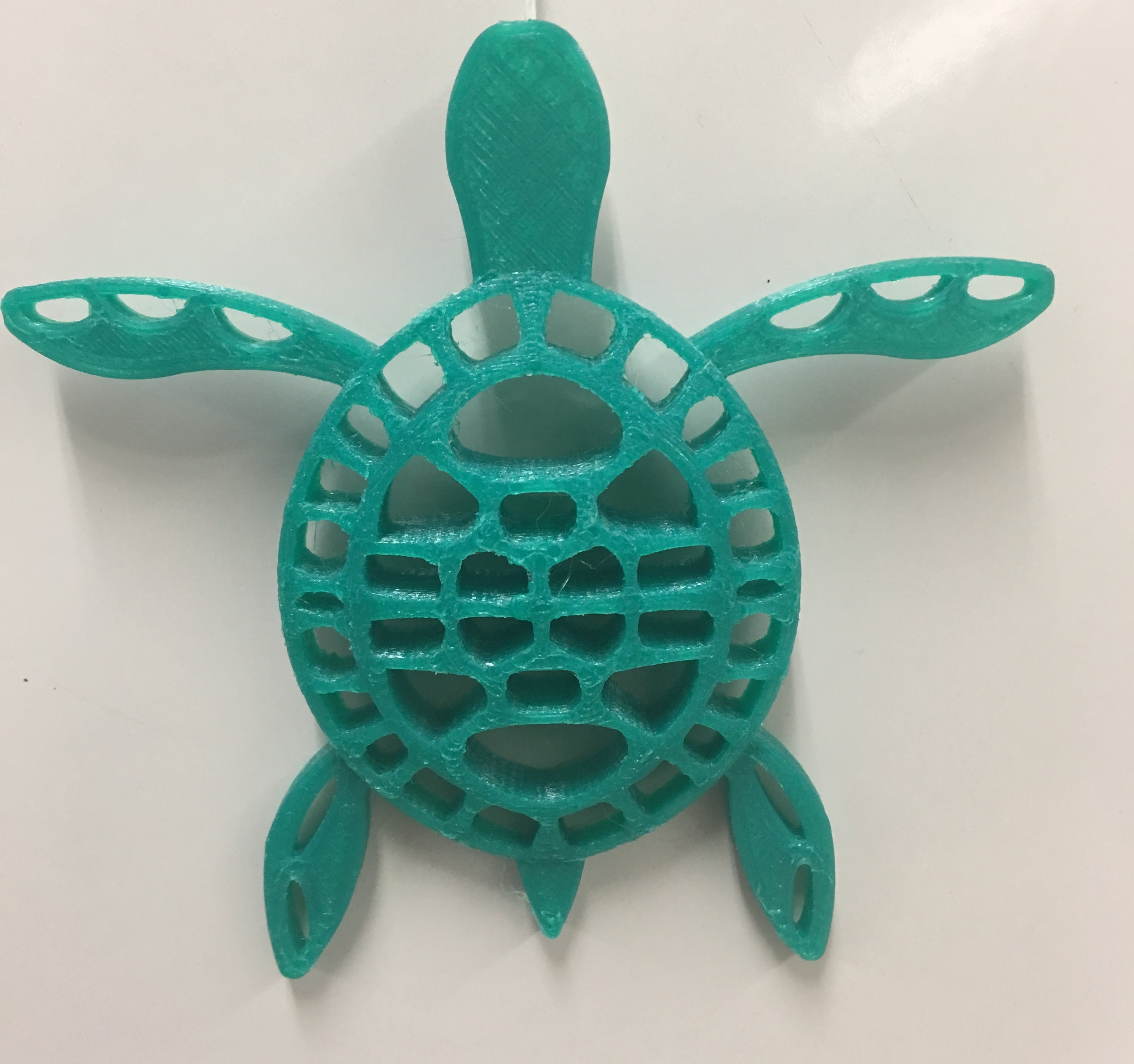 Turtle