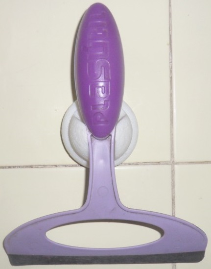 Squeegee holder