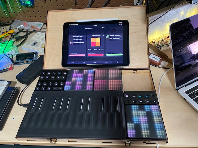 Roli Blocks case