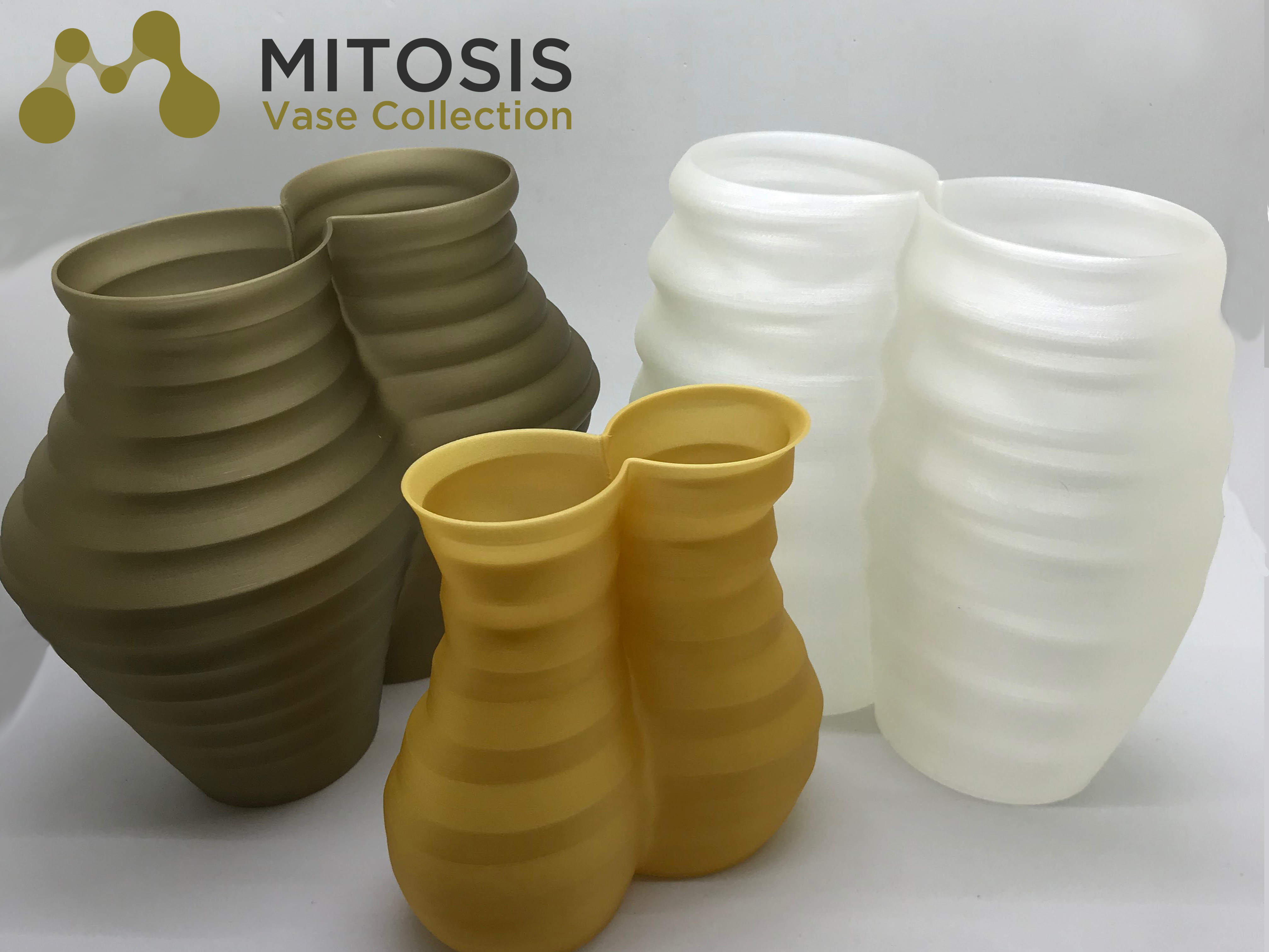 Mitosis Vase Collection