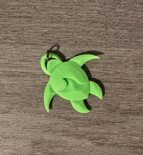 Wavy Sea Turtle