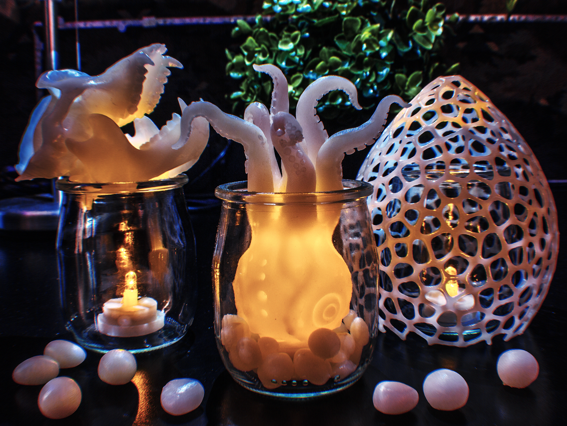 Squid in a Jar and Gorilla Skull