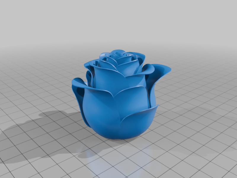 Rose Flower