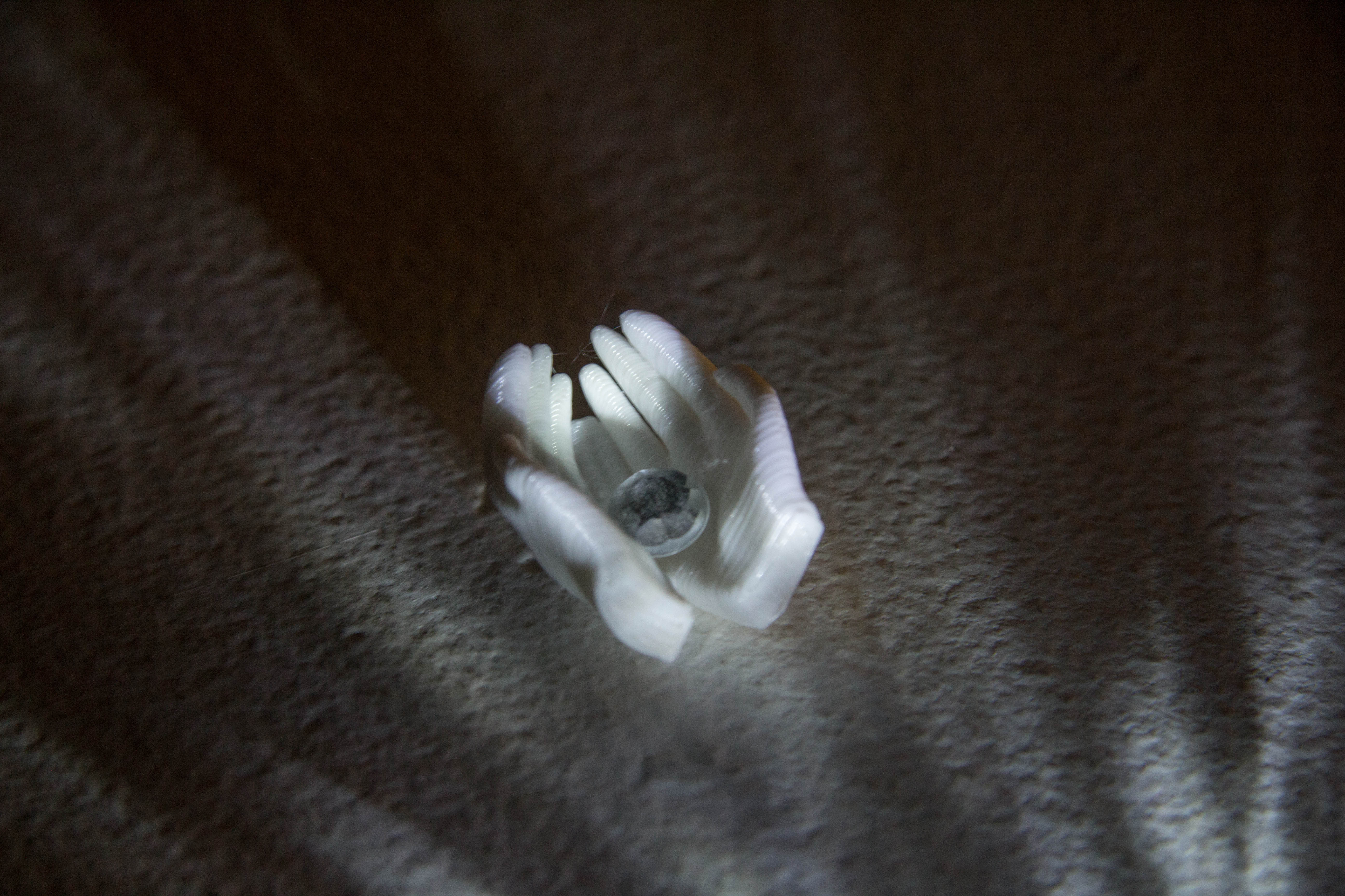 Miniature Cupped Hands