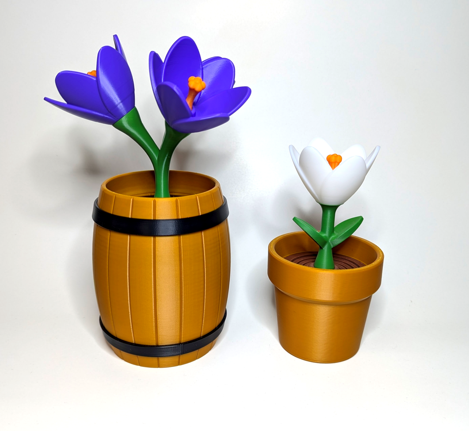 Crocus Flower - Springy Flower Collection