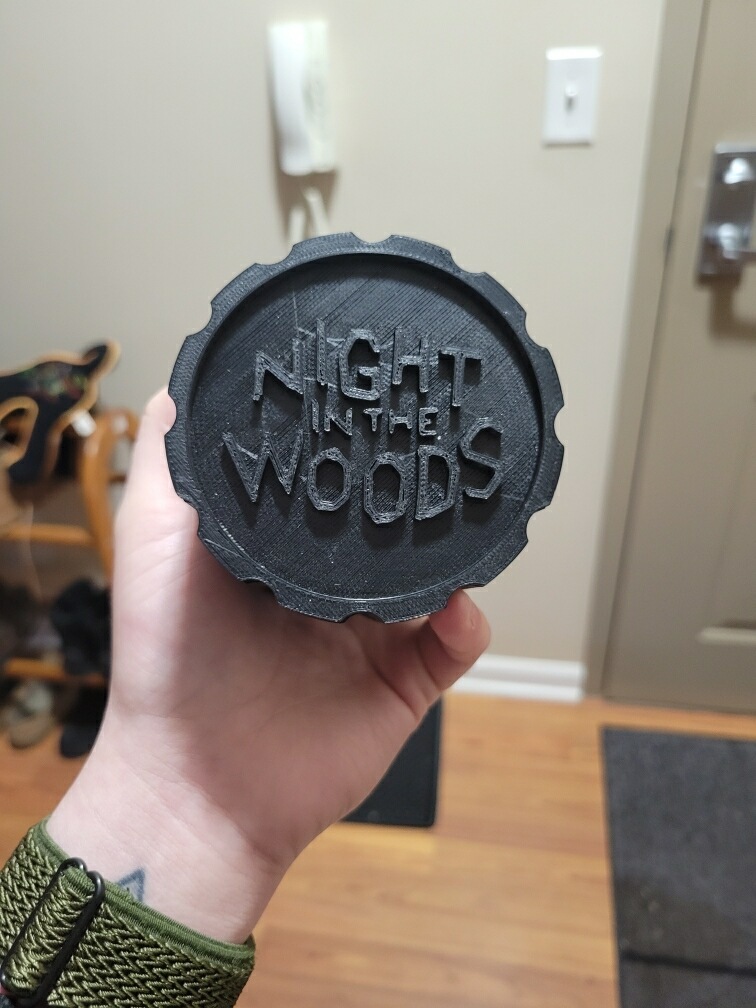 Night In The Woods Container