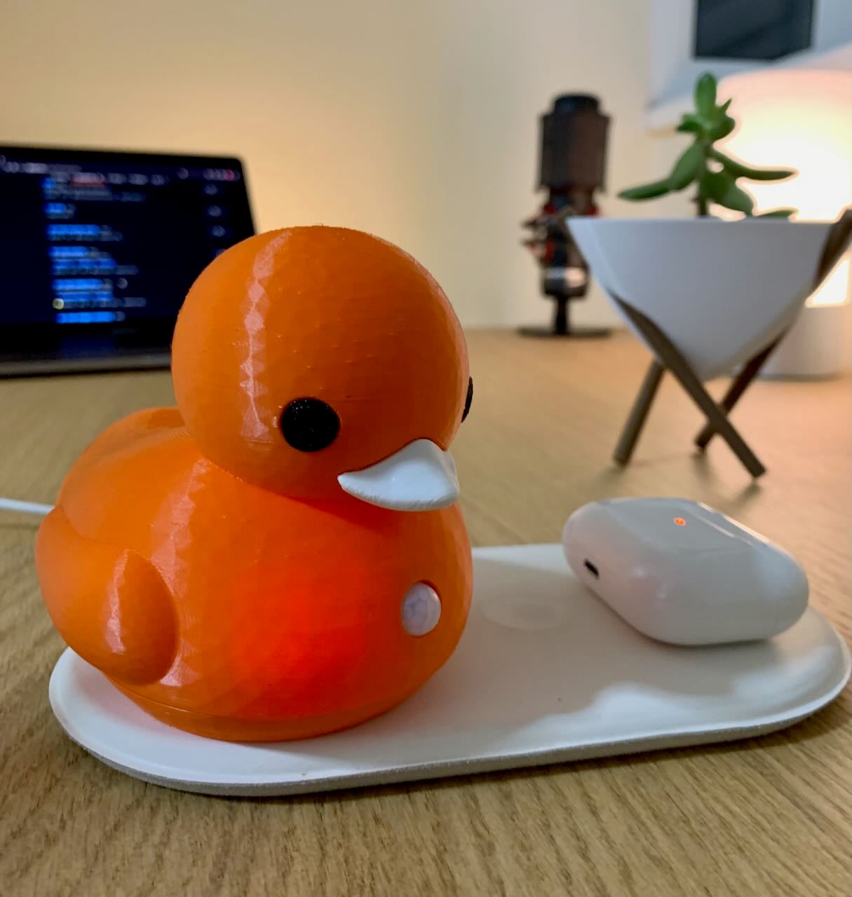 The Guardian Duck