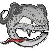 evilC_UK