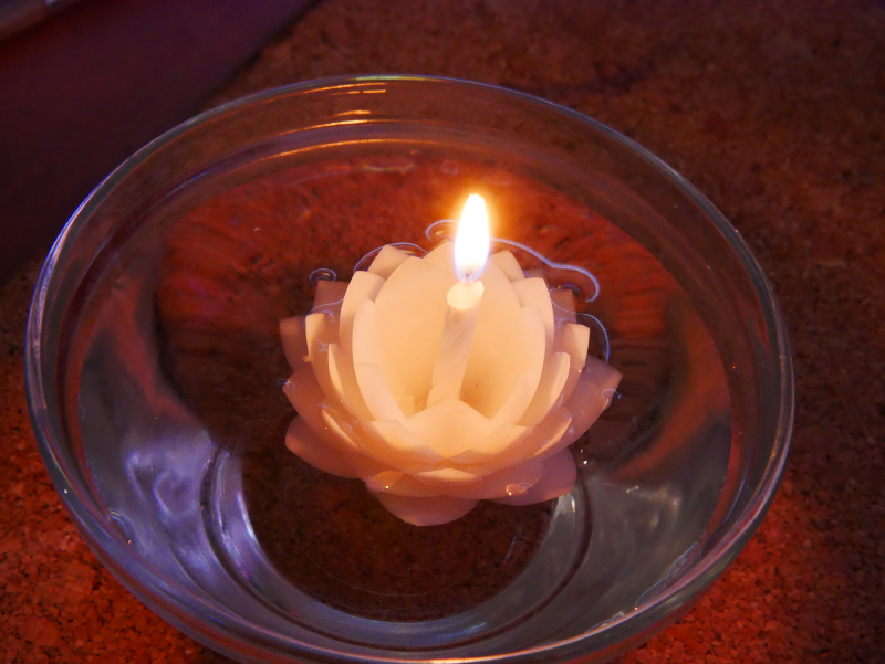 lotus flower water