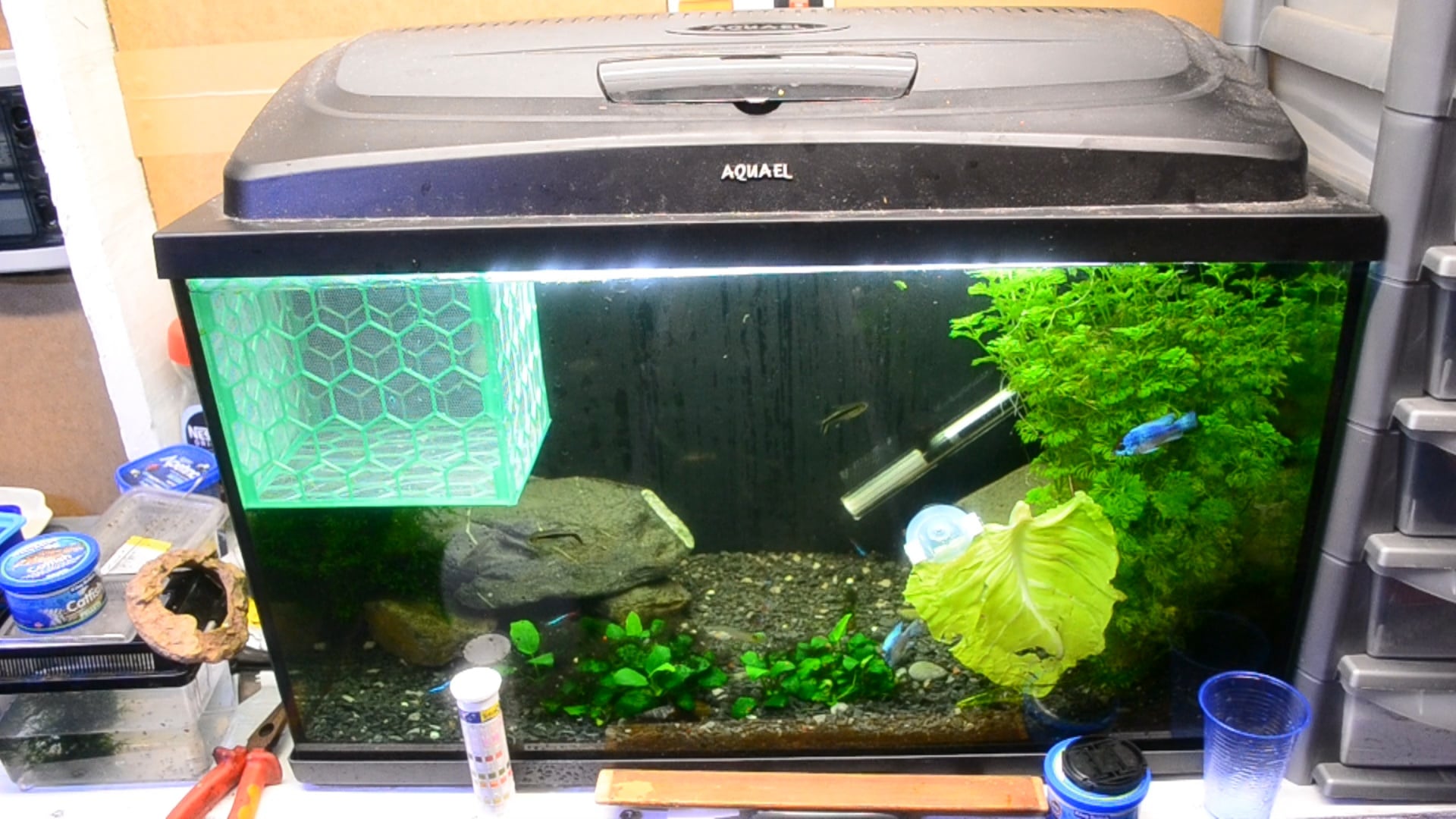 Fish-fry holding pen.