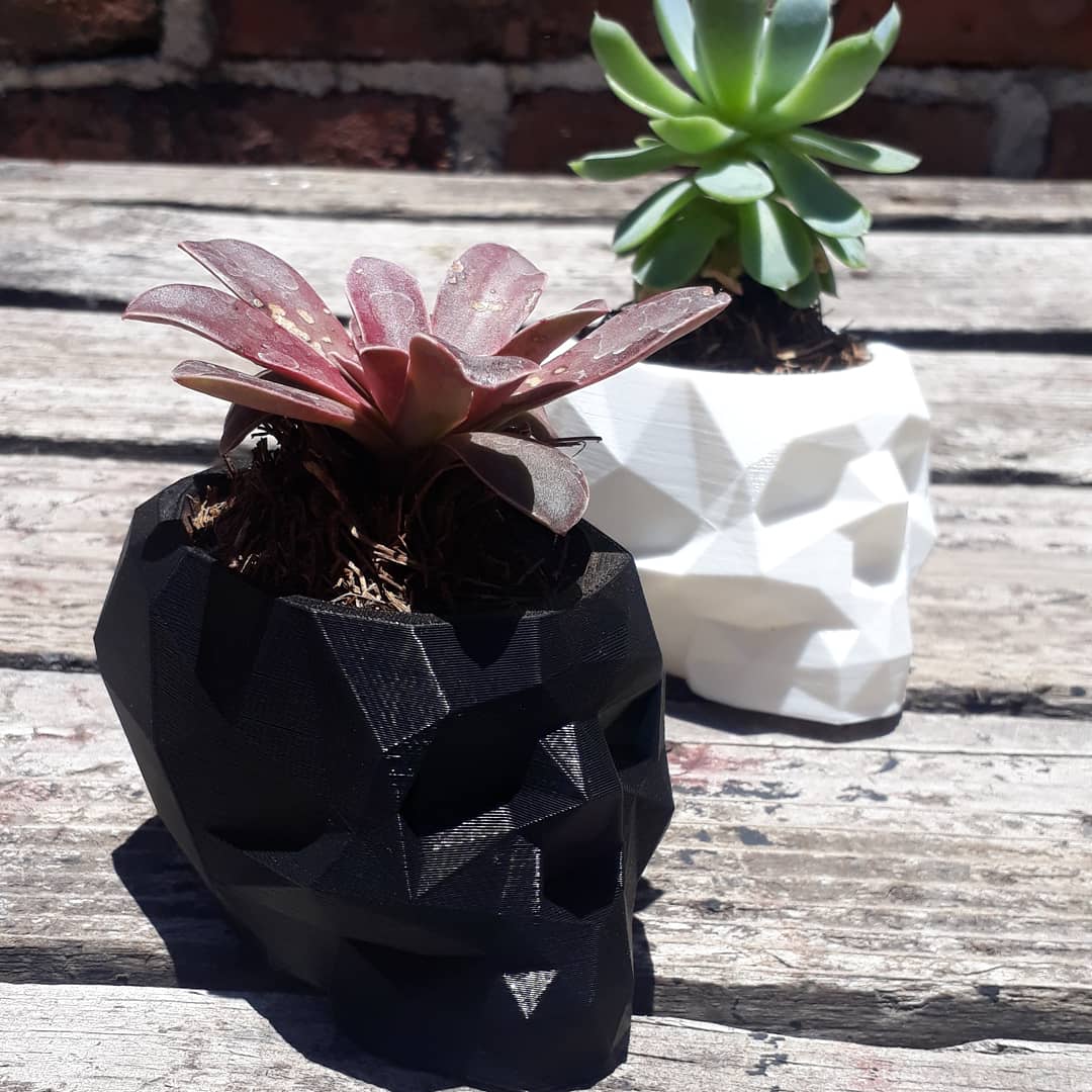 Low Poly Skull Pot