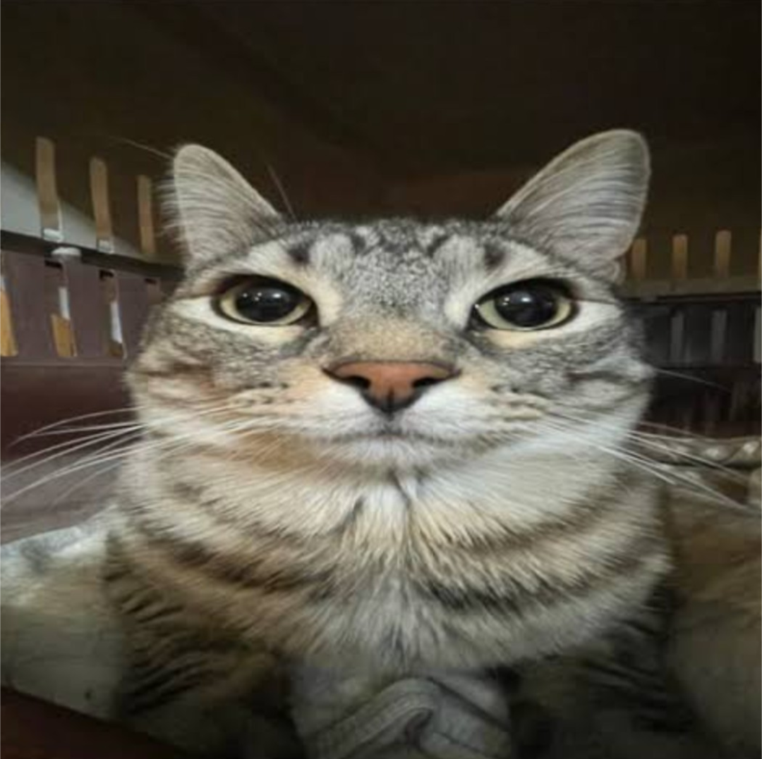 fnkyjnk