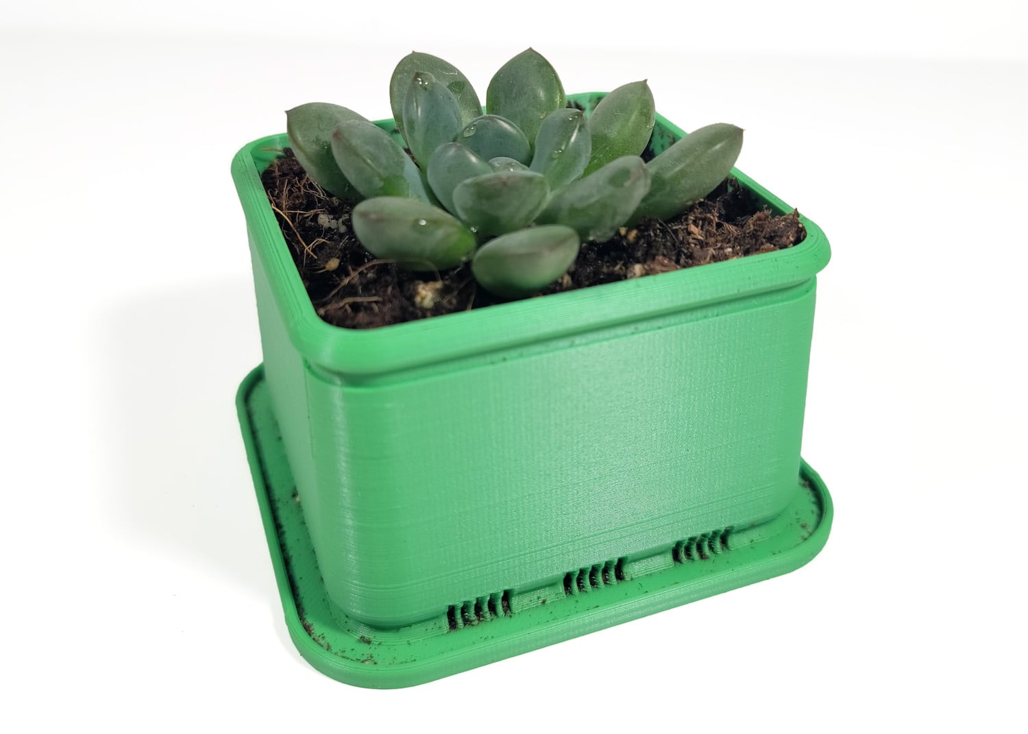 Square Succulent Planter