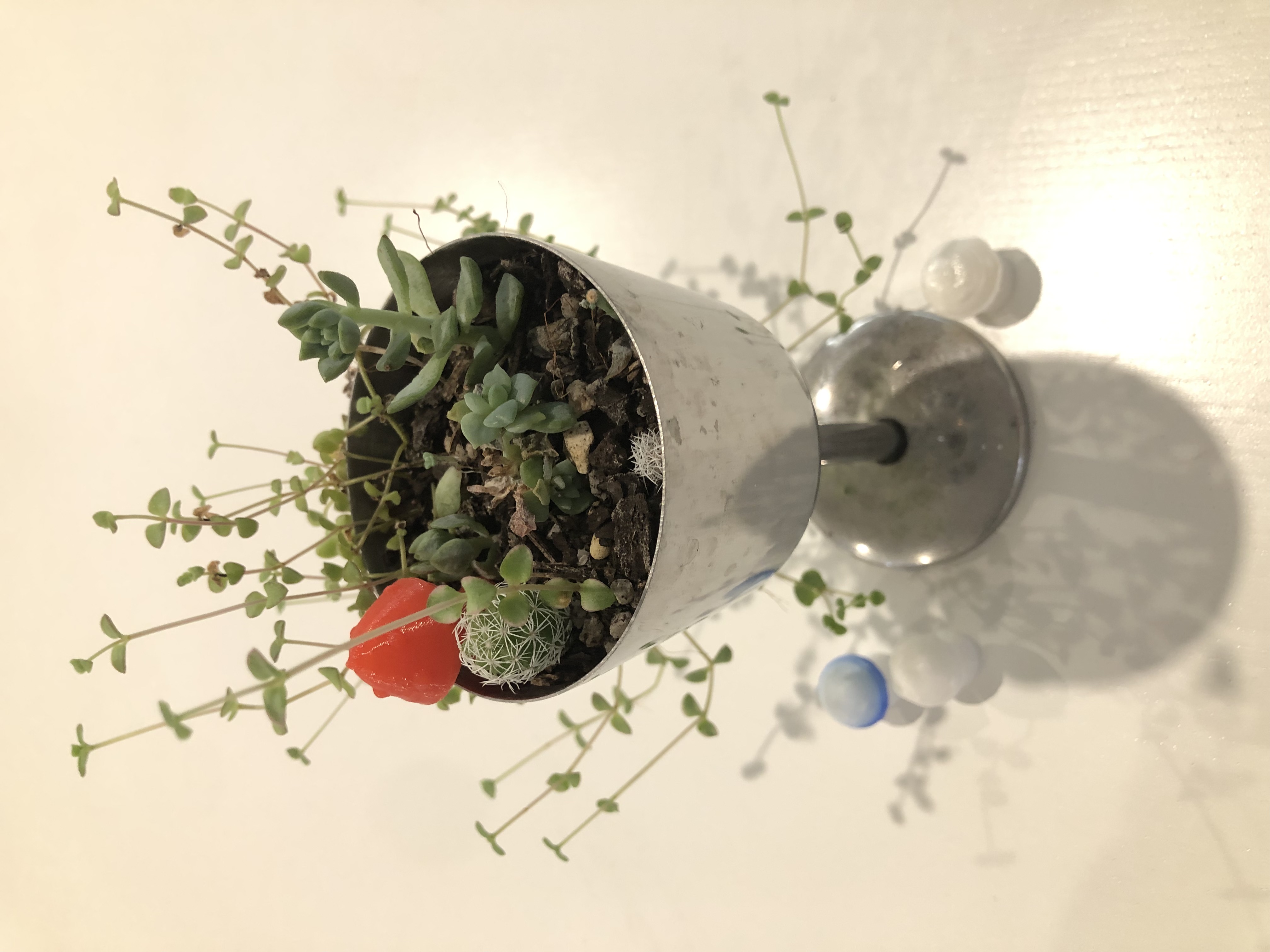 Tiny Mushroom Flowerpot Decoration