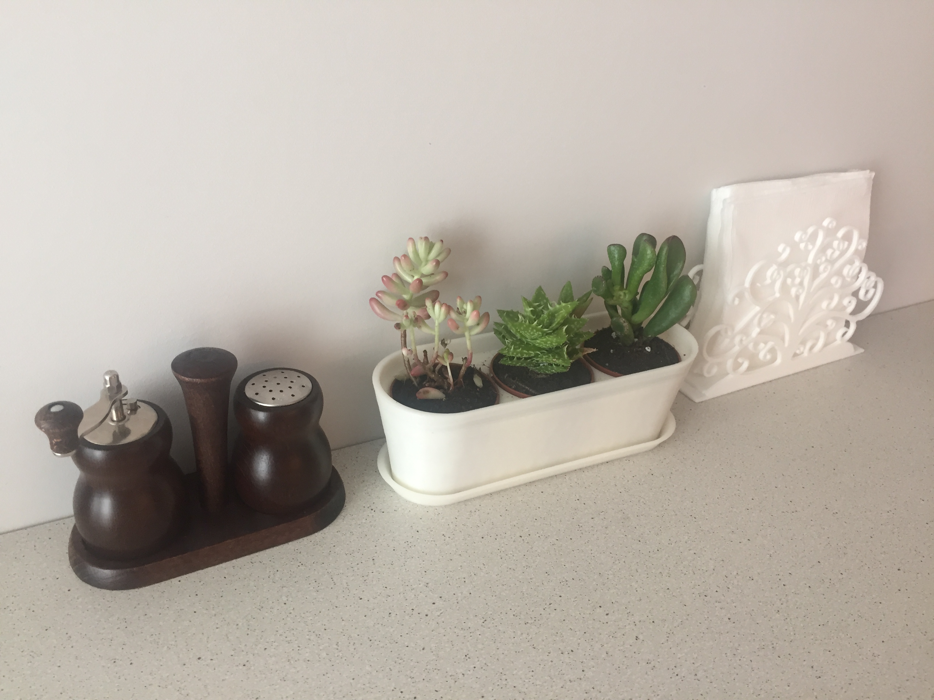 Tiny Planter & Tray for Succulents