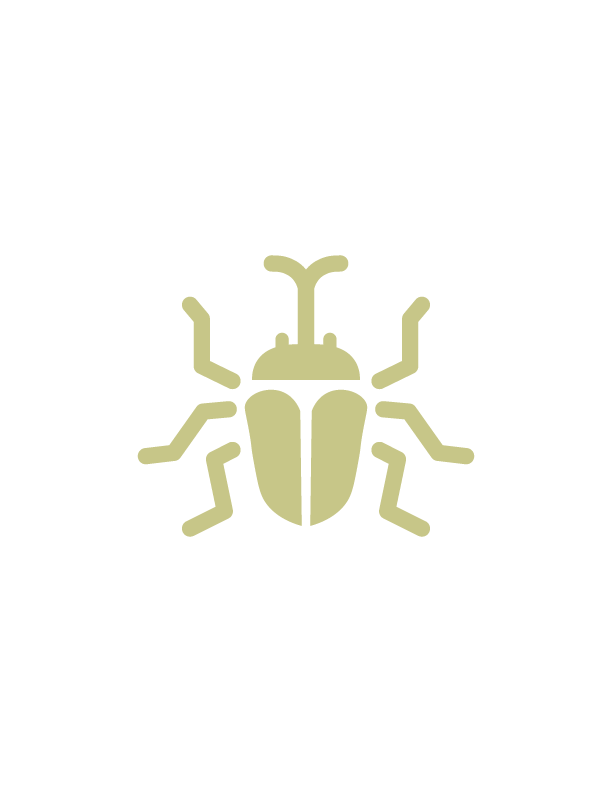 Beedle's Beetle Shirt Emblem - Tears of the Kingdom/Breath of the Wild