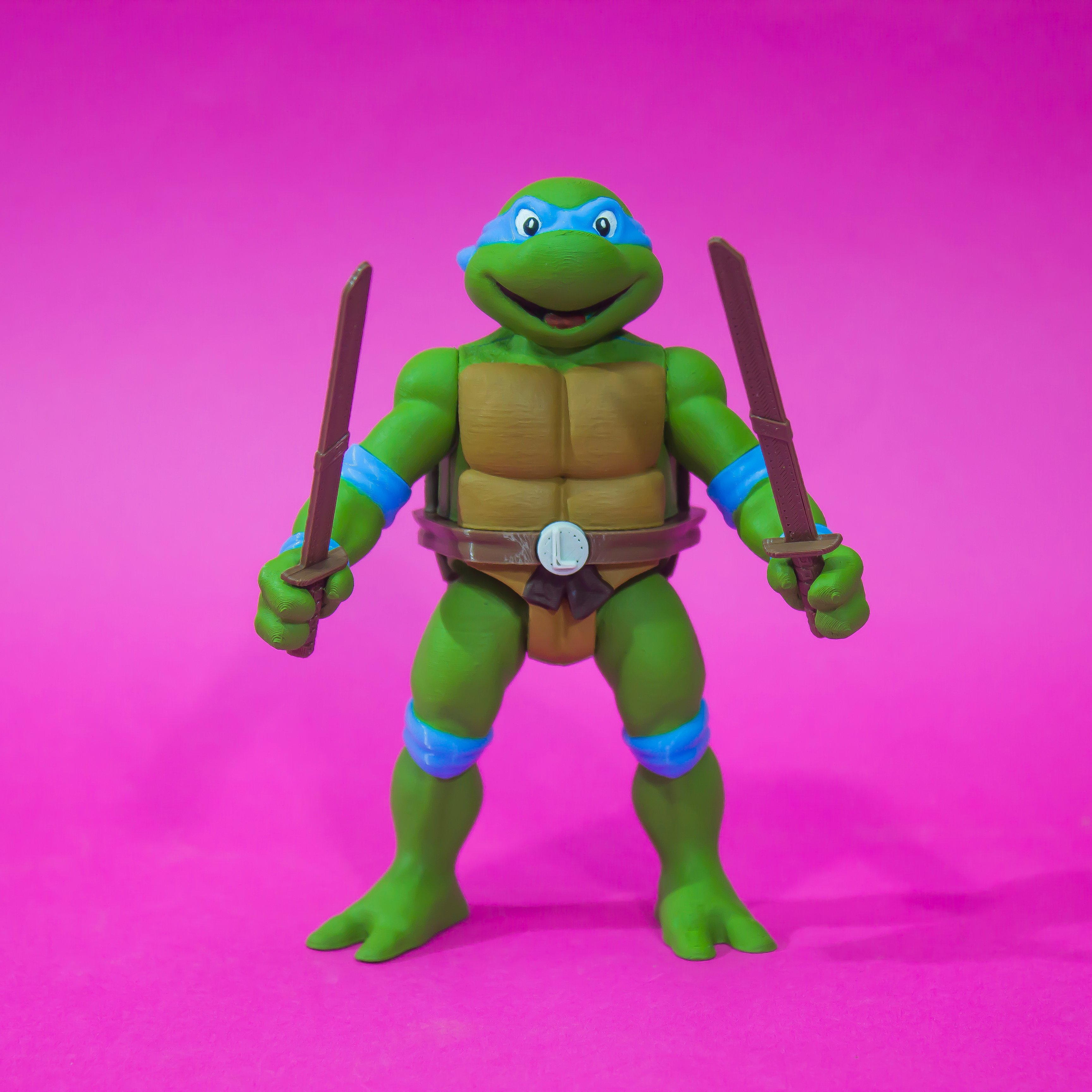 Leonardo ninja turtle cartoon