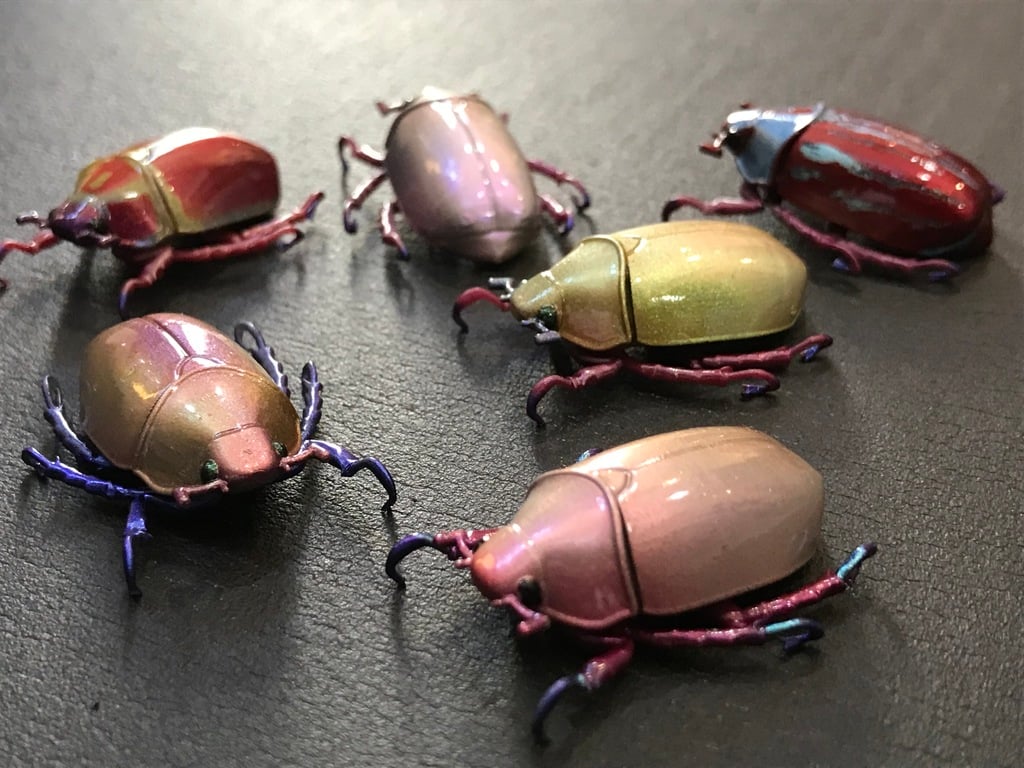 Scarab Beetle / Chrysina chrysargirea