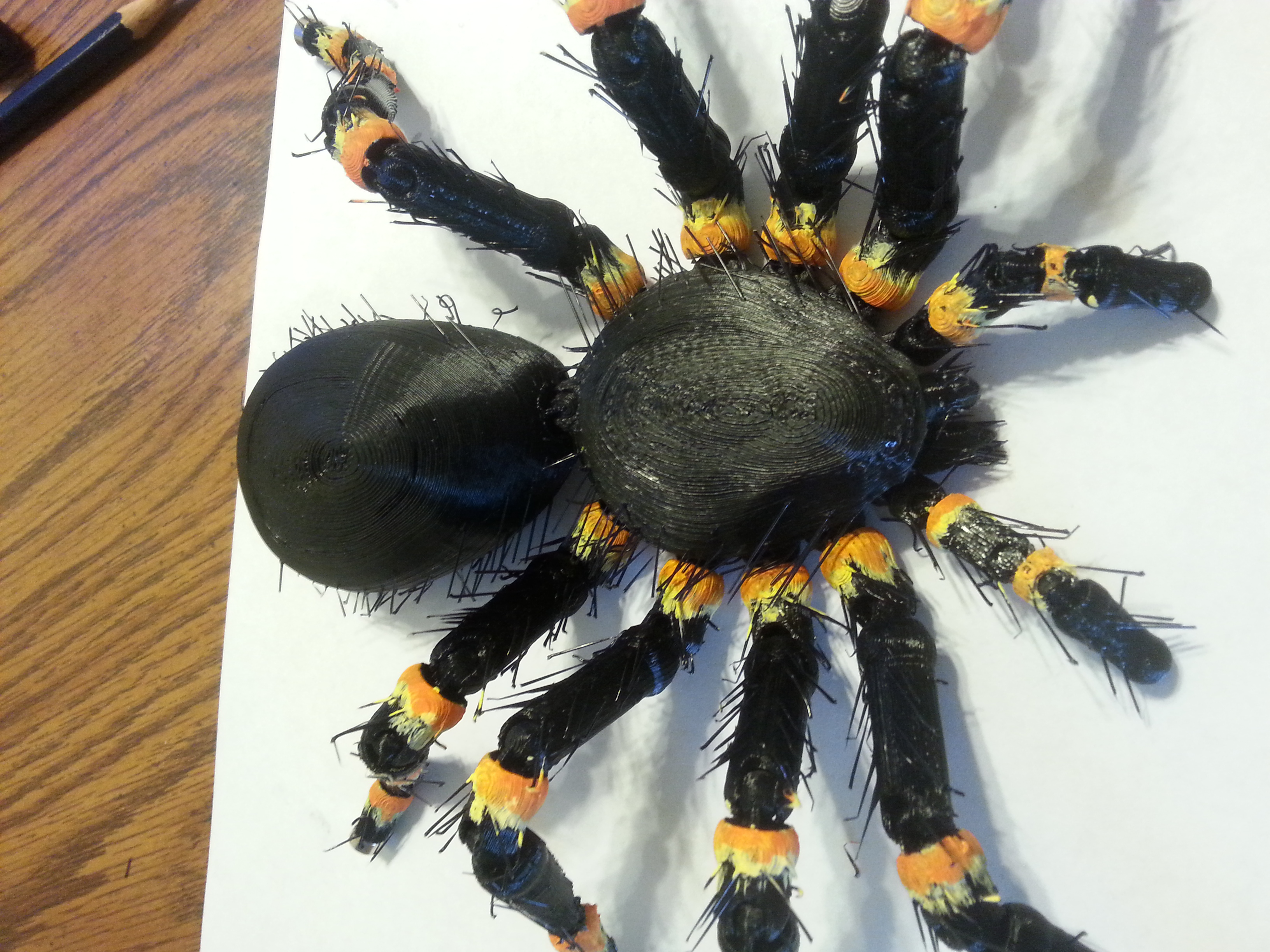 HAIRY tarantula (fridge magnet)