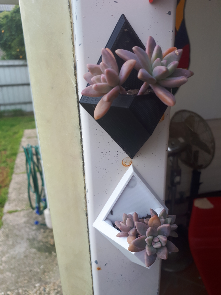 Diamond Herb/Succulent Planter Fridge Magnet
