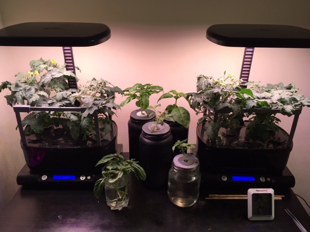 Plants Support for Aerogarden Harvest