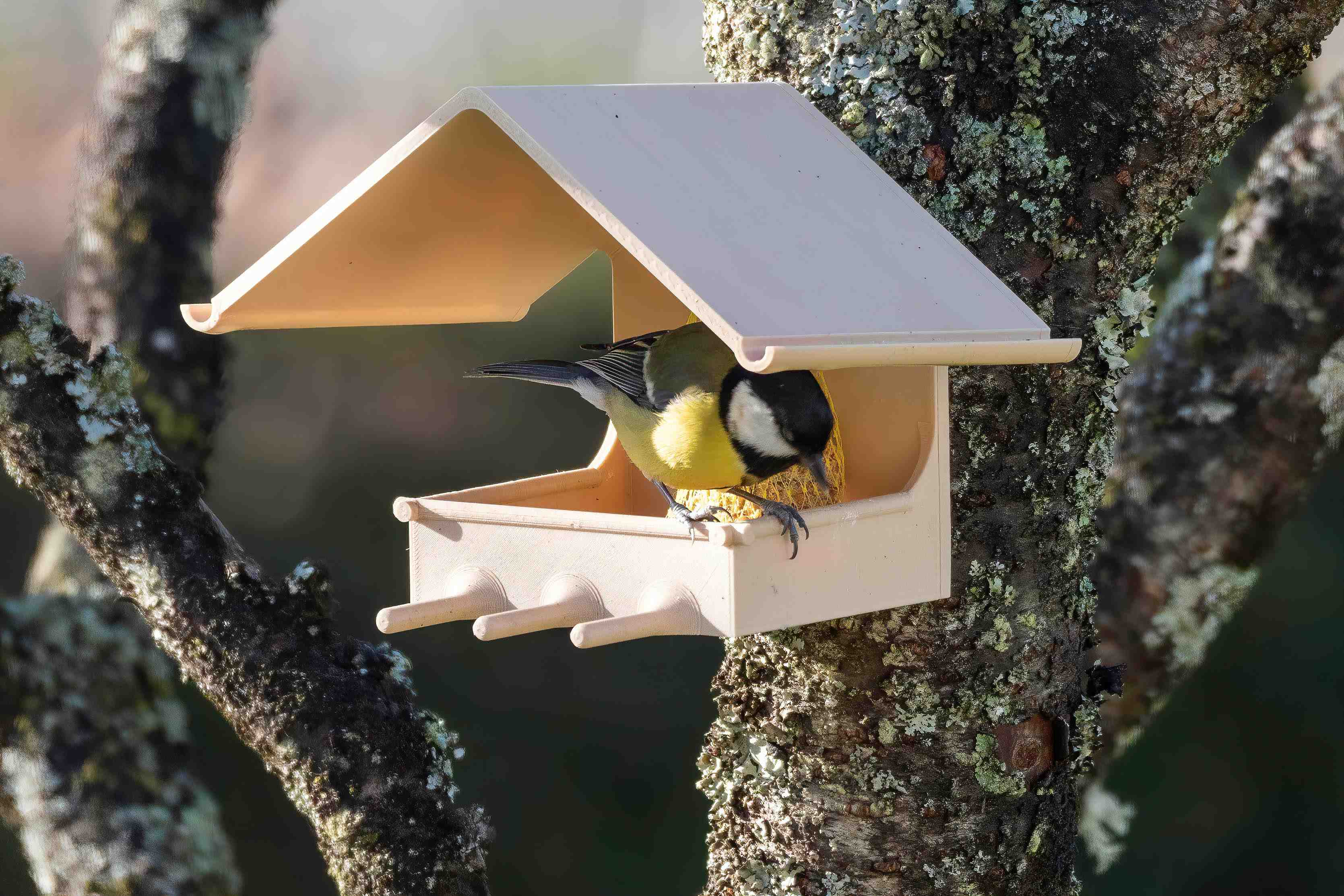 Mangeoire à oiseaux Support boule de graisse / Bird feeder fat ball holder