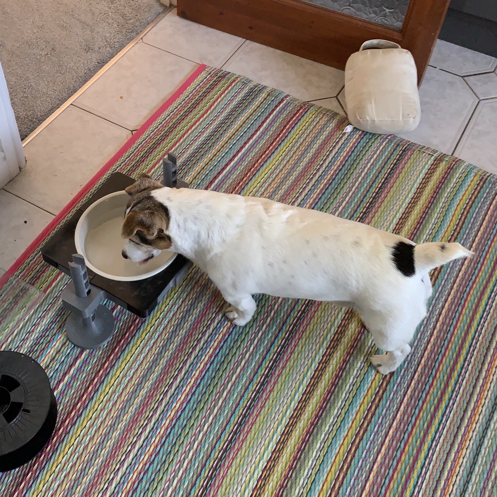 Dog Bowl Raiser (Small Dog)
