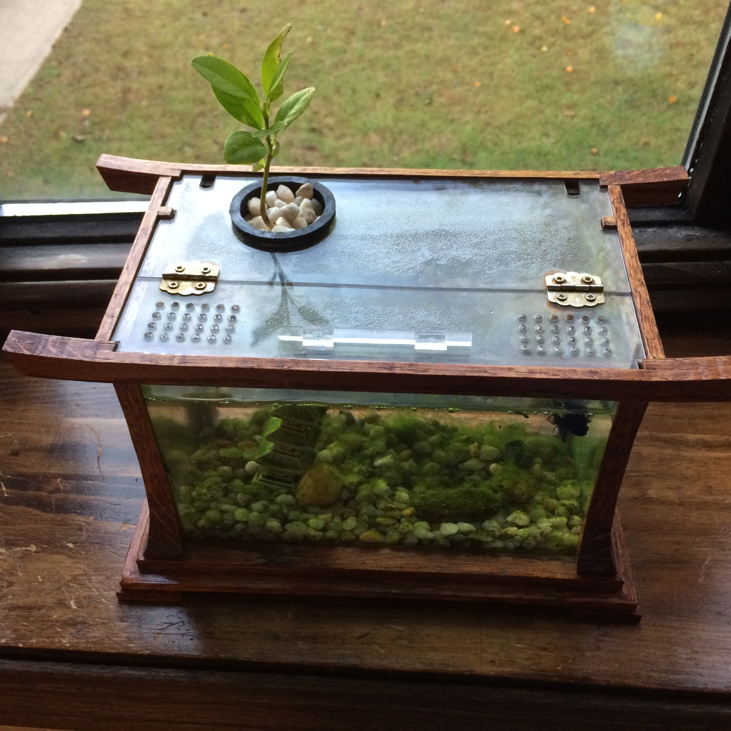 Plant Pot for Home Made Fish Tank