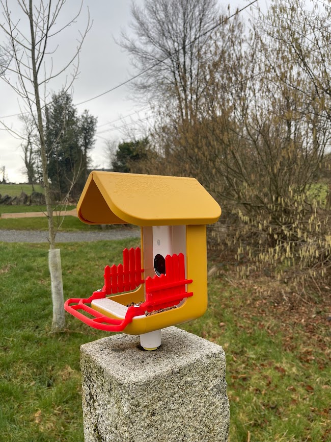 BirdBuddy fence