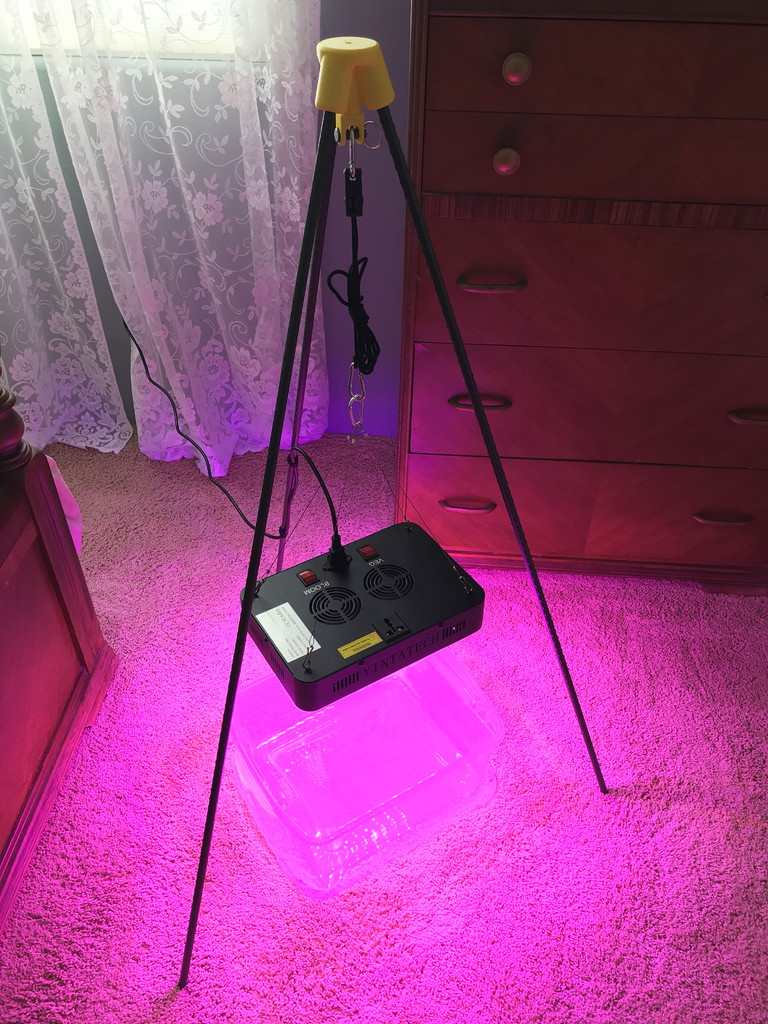 Cheap Grow Light Stand Using Plant Stakes
