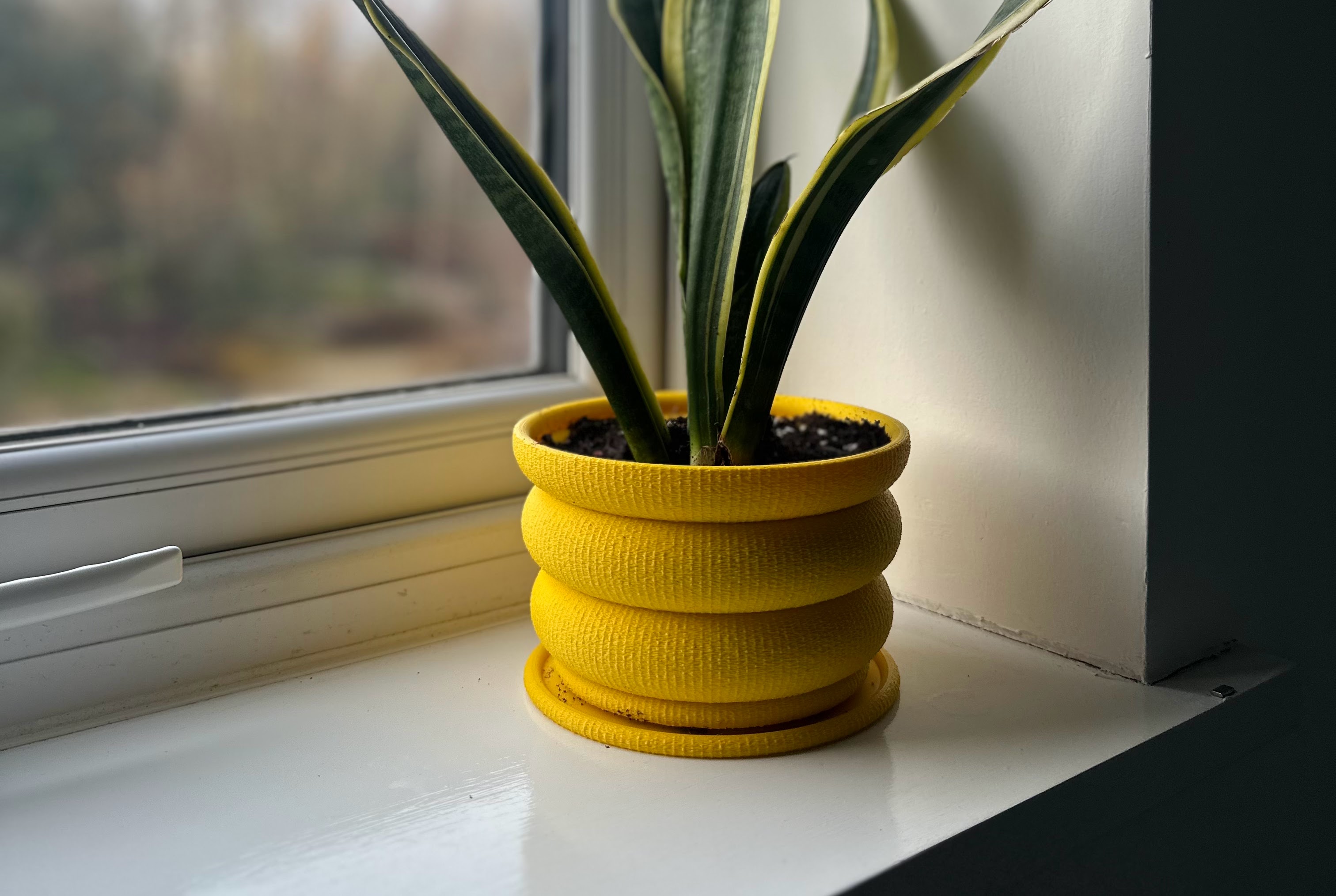 Bubbly Planter