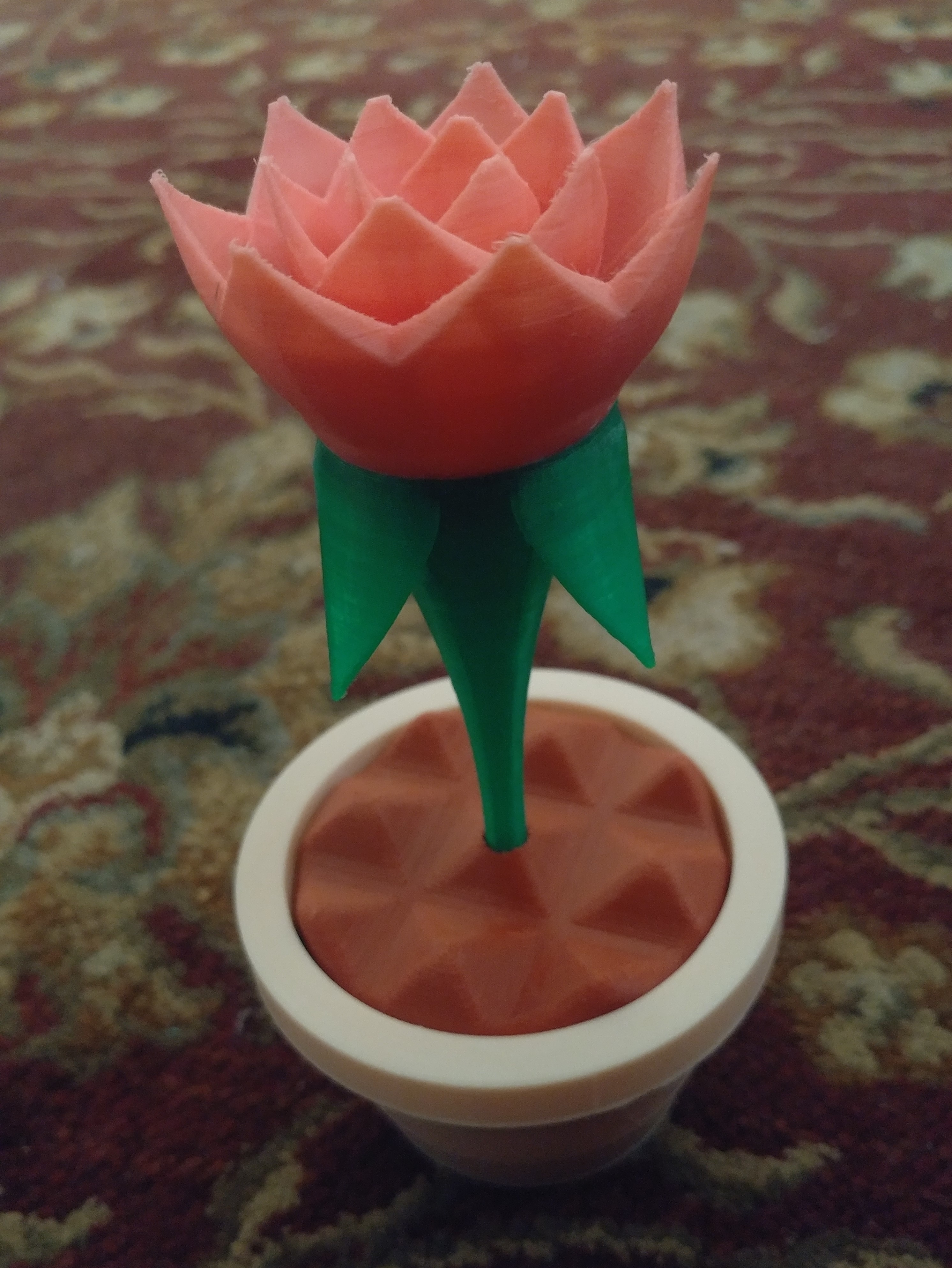 Flower in Pot