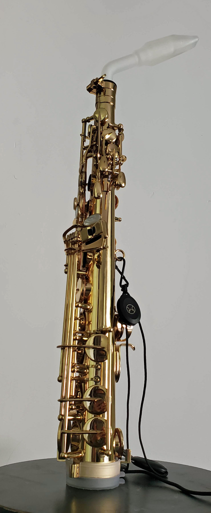 EMEO Saxophone Neck with Mouthpiece