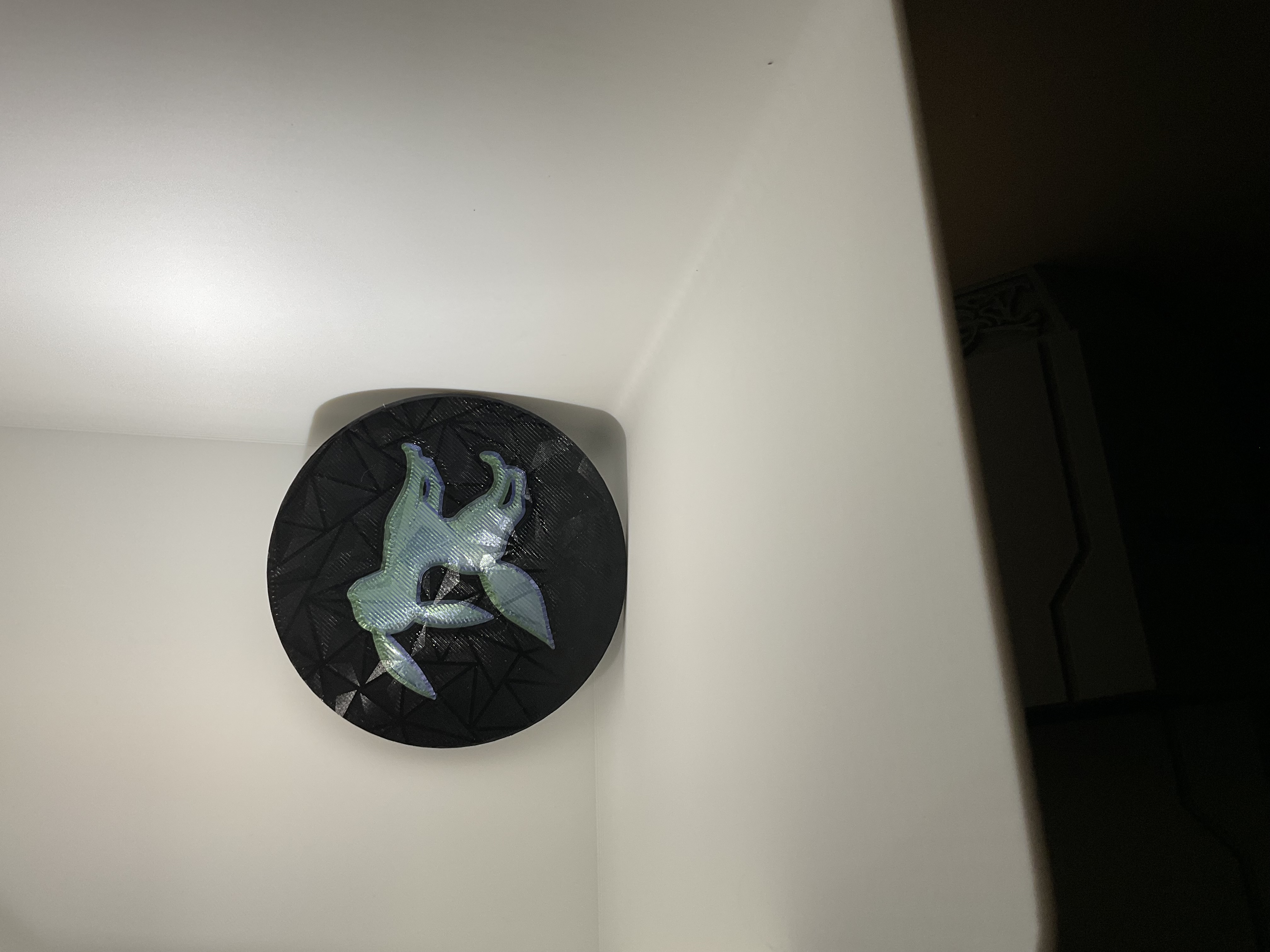 Umbreon Coaster