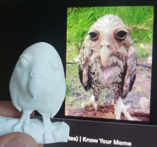 Wet Owl