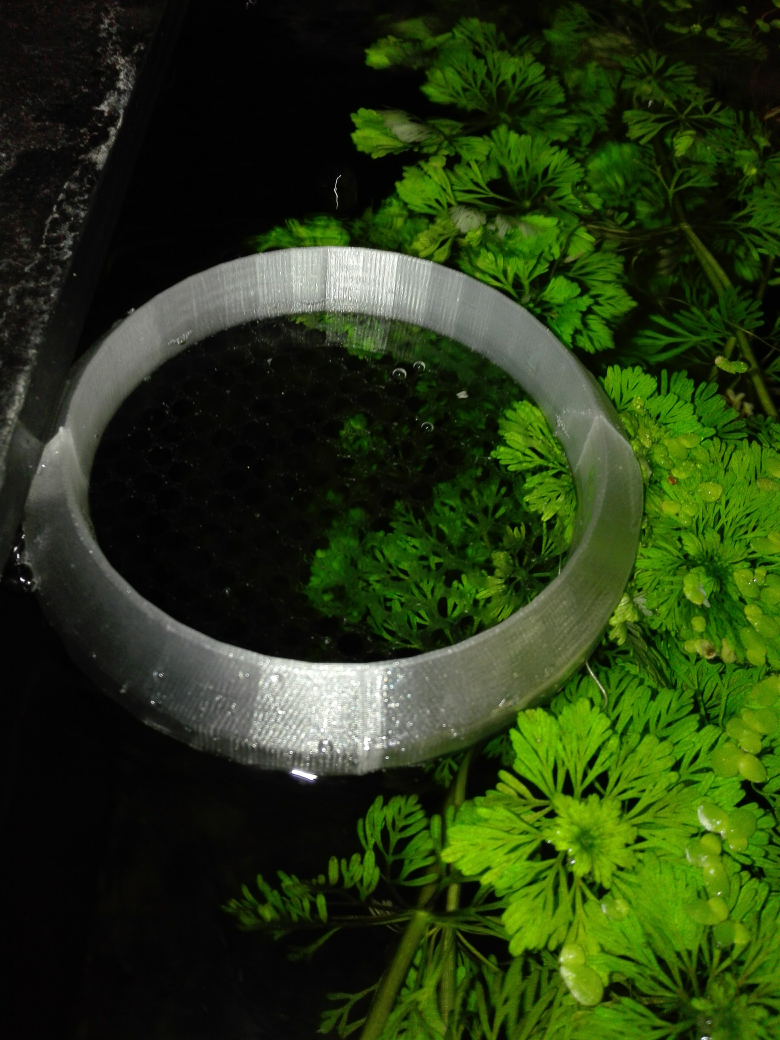 Aquarium - Fish floating feeder (Customize)