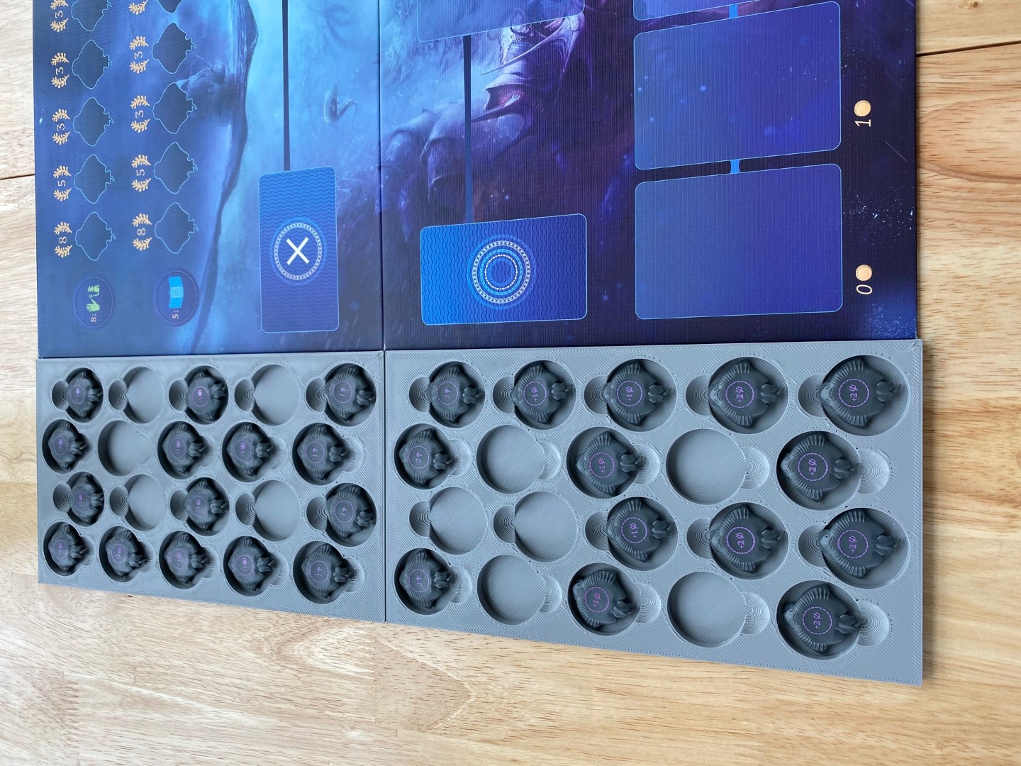 Aquatica and Cold Waters Insert / Organizer