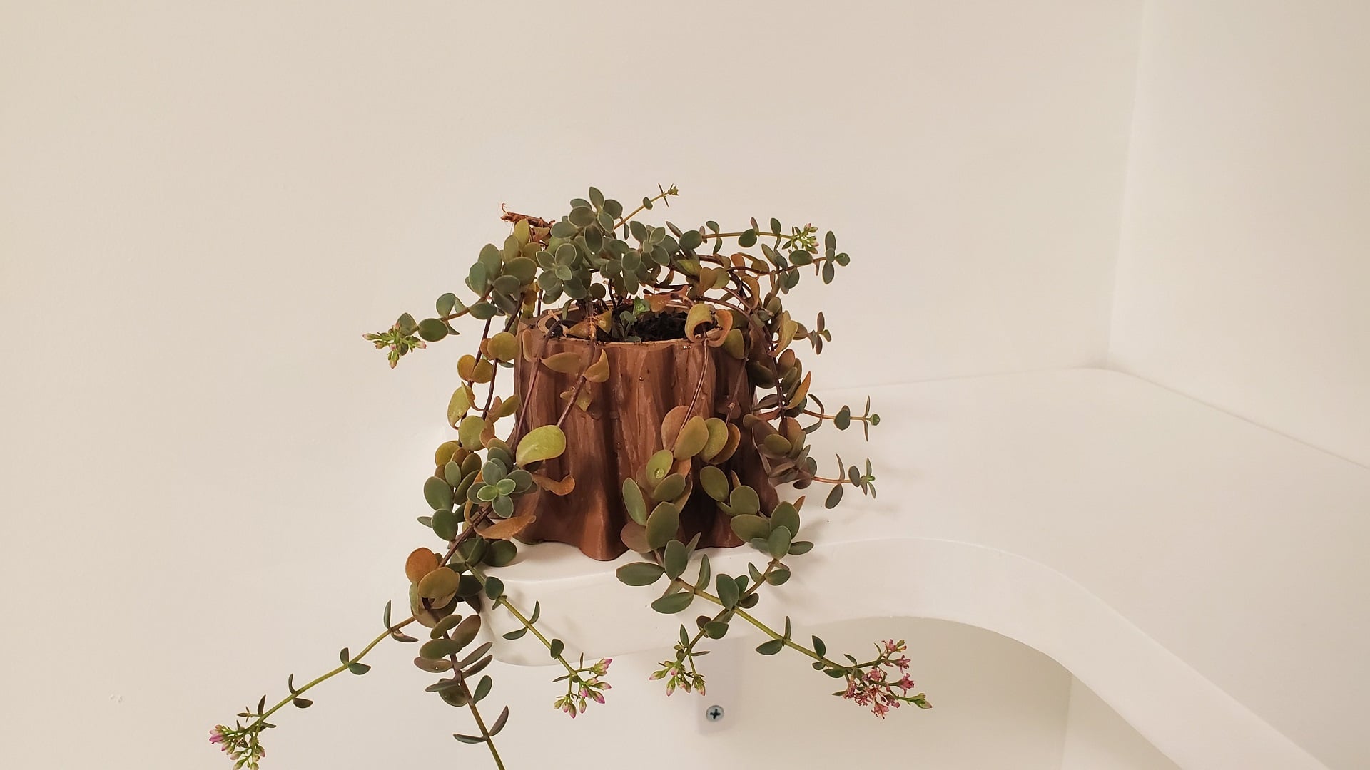 Stump Planter and Pen Holder