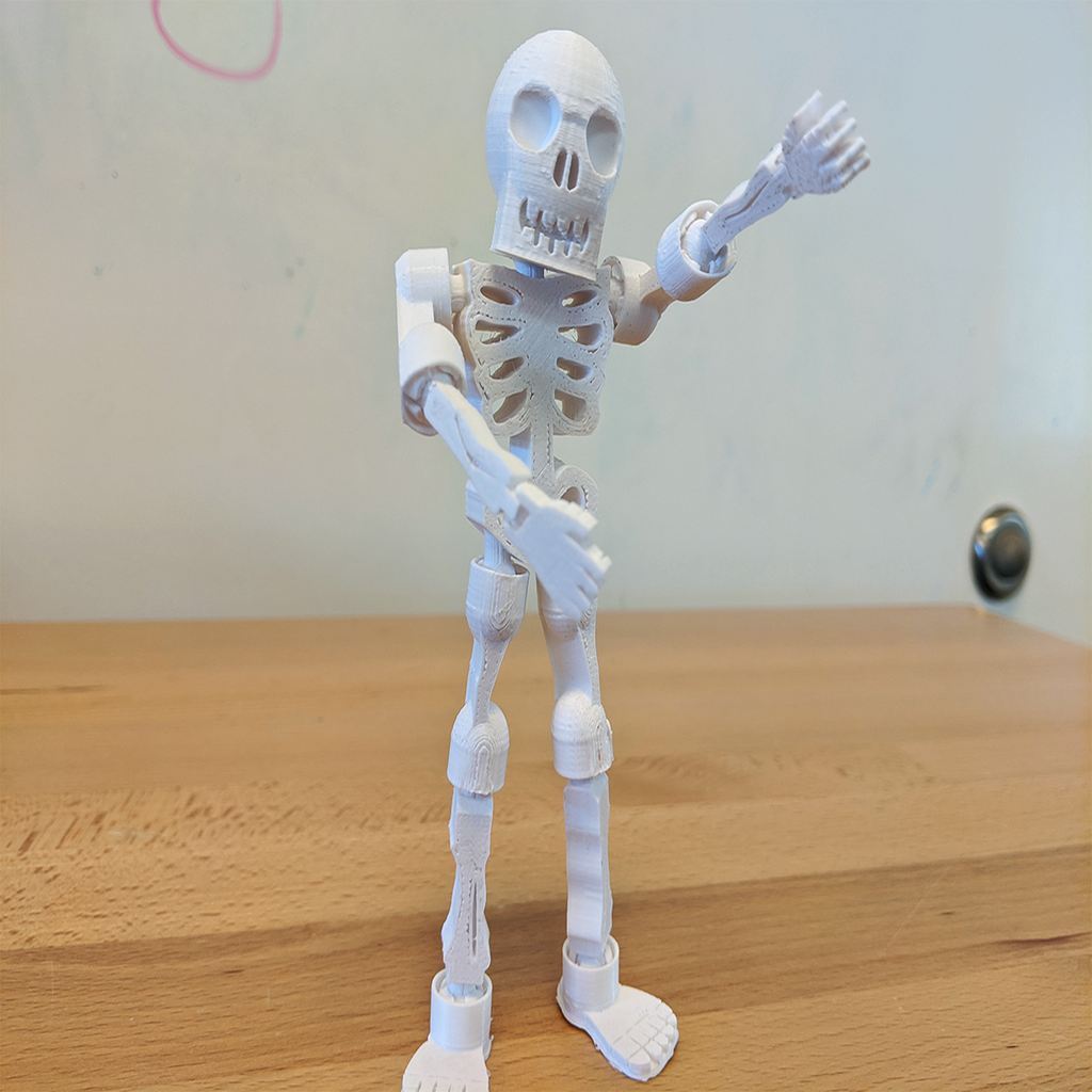 Posable Skeleton Figure