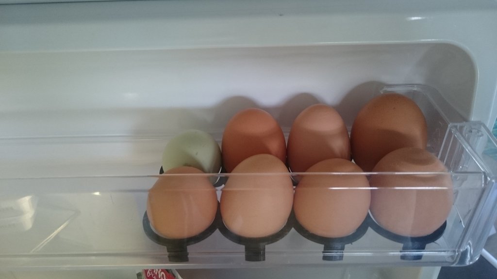 Frugal Egg Tray