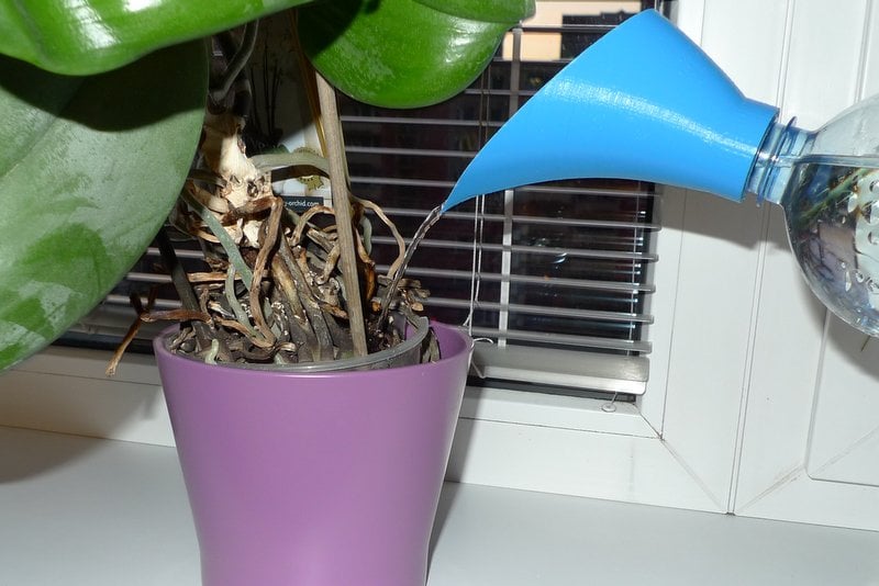 PET bottle watering funnel