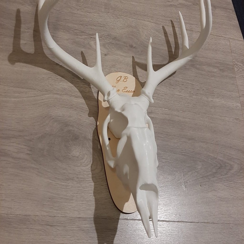 Deer Skull Printable Large!