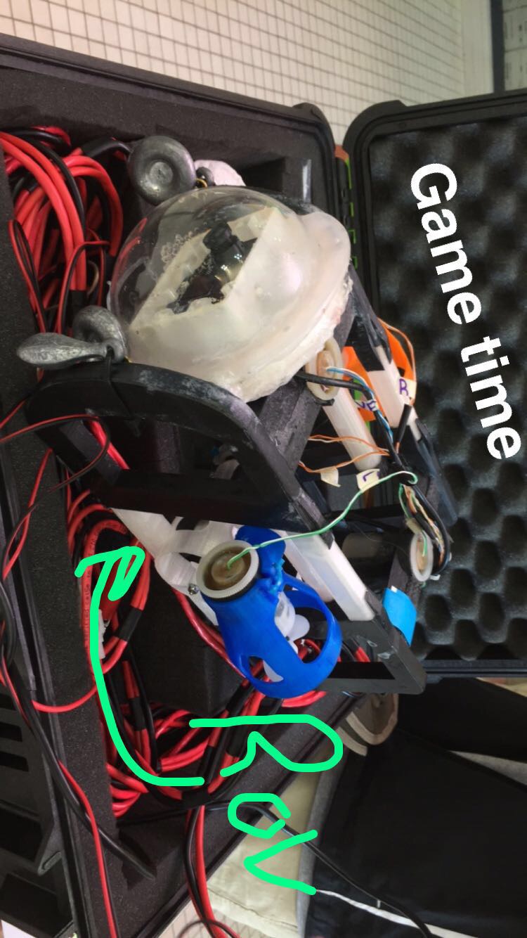 V4 Salty Seasharks ROV