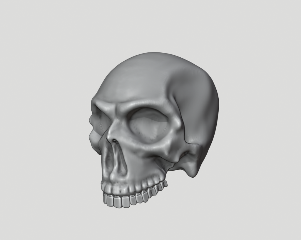 Human Skull - printable