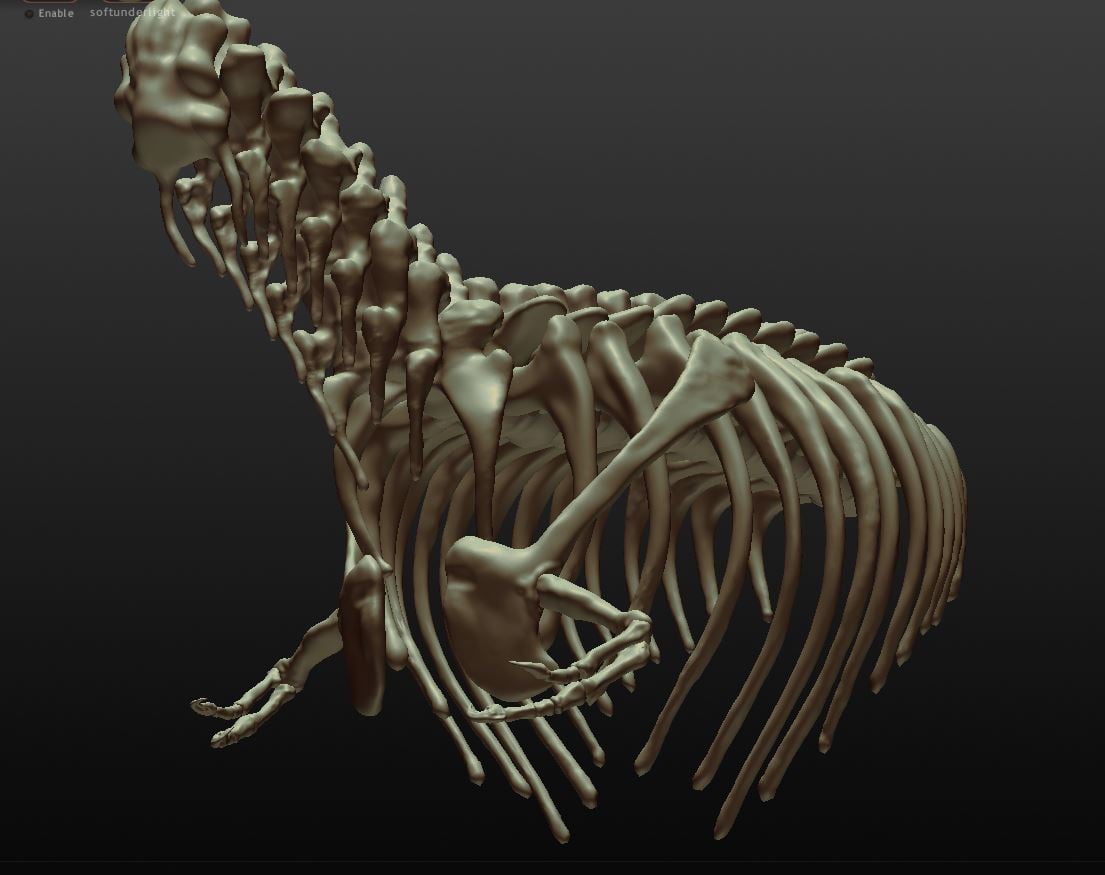 T-rex Skeleton