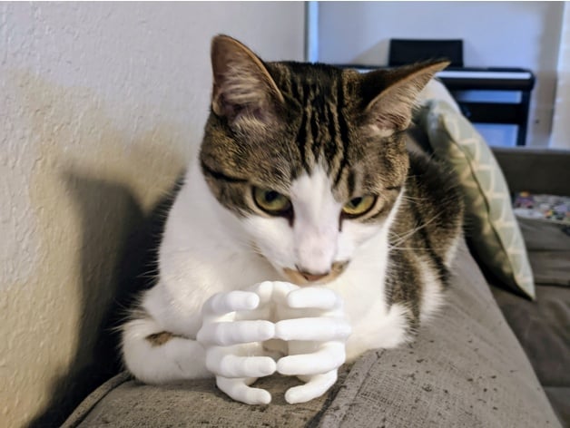 Kitty Hands