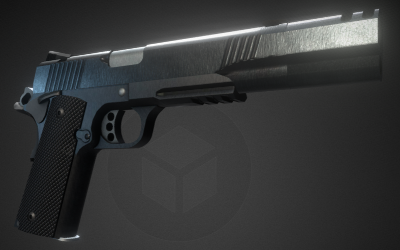 1911 Kimber Warrior